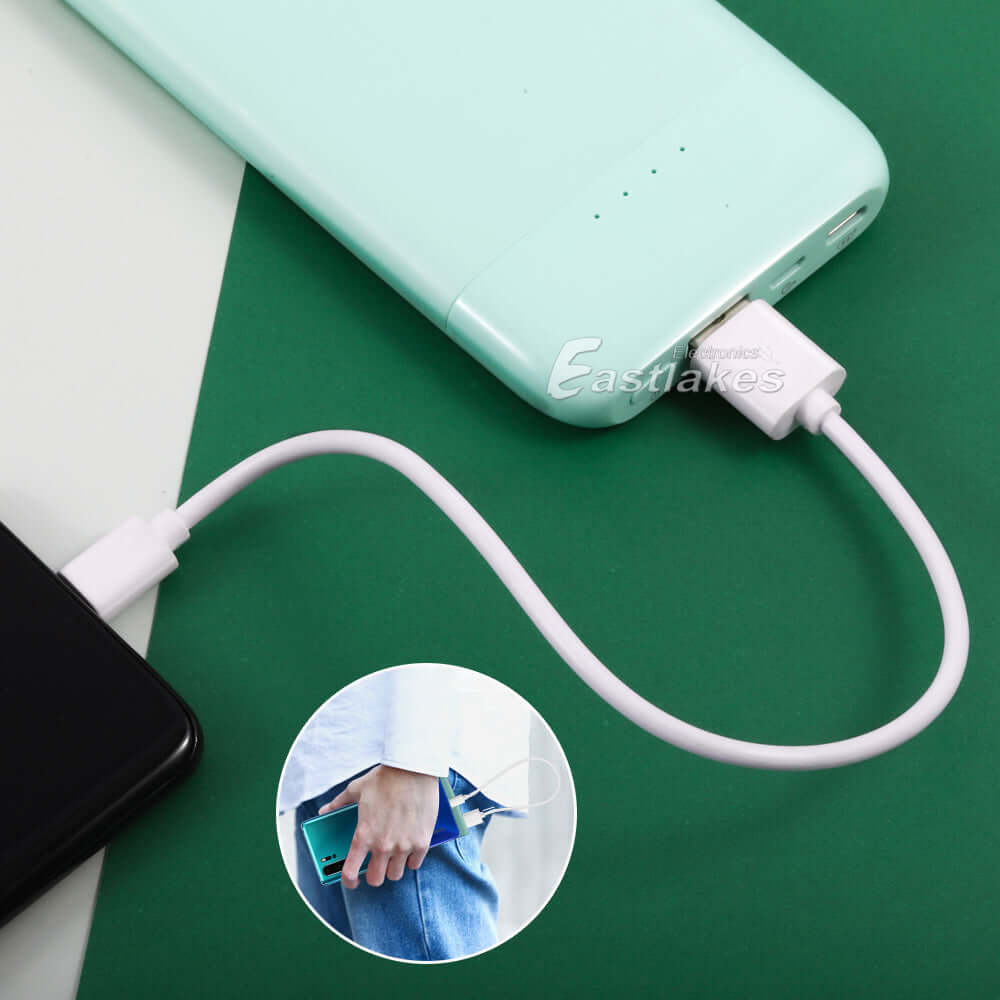 25cm USB-C Fast Charging Cable - Eastlakes Electronics
