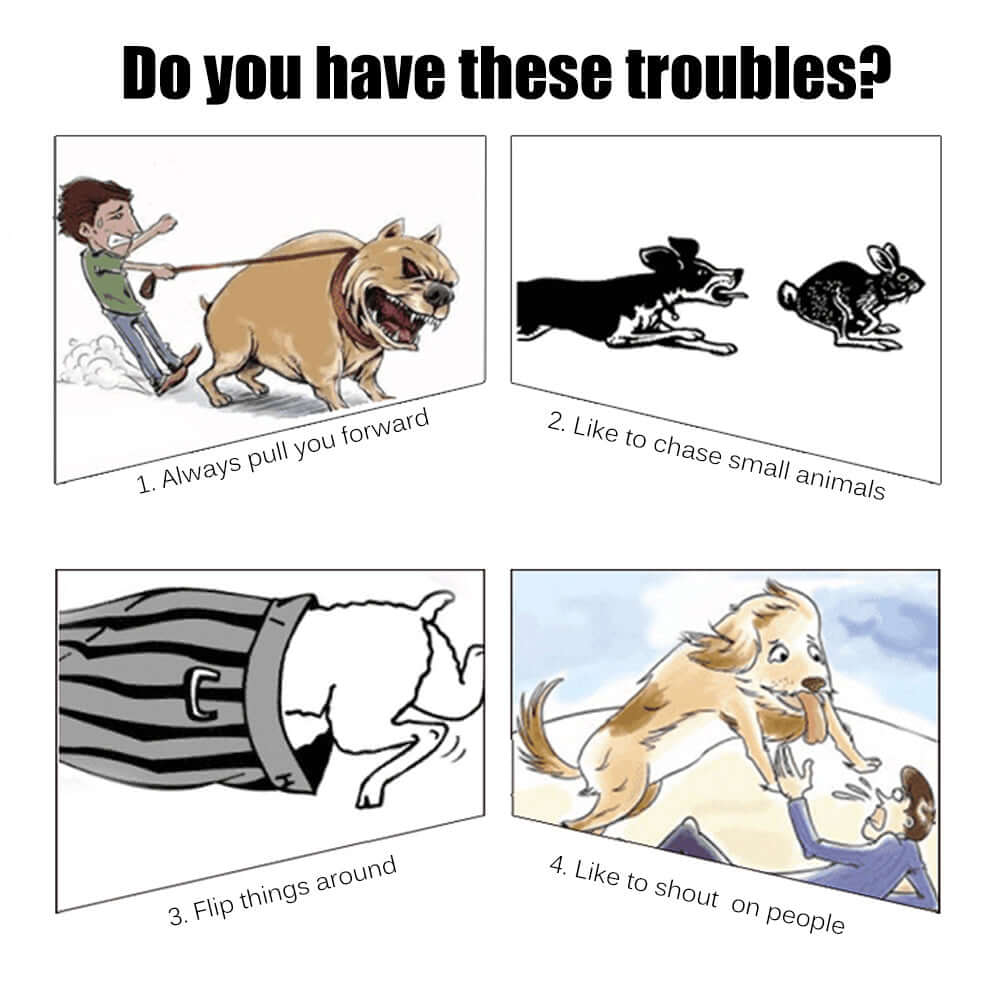 6m Long Dog Pet Puppy Training Obedience Rope Recall Lead Leash - Eastlakes Electronics