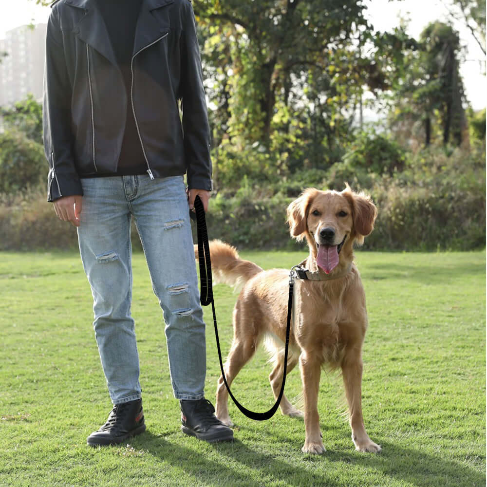 15m Long Dog Pet Puppy Training Obedience Rope Recall Lead Leash - Eastlakes Electronics